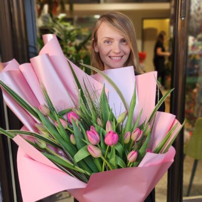 טוליפ מלכותי